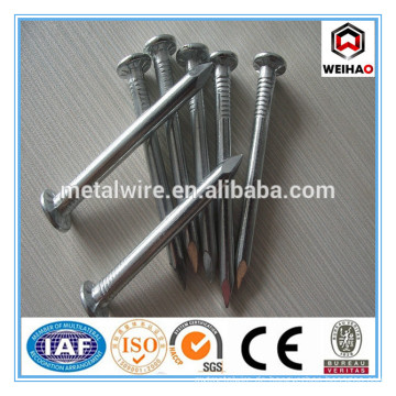 ISO 9001 Gute Qualität galvanisierte Beton Stahl Nägel Lieferanten